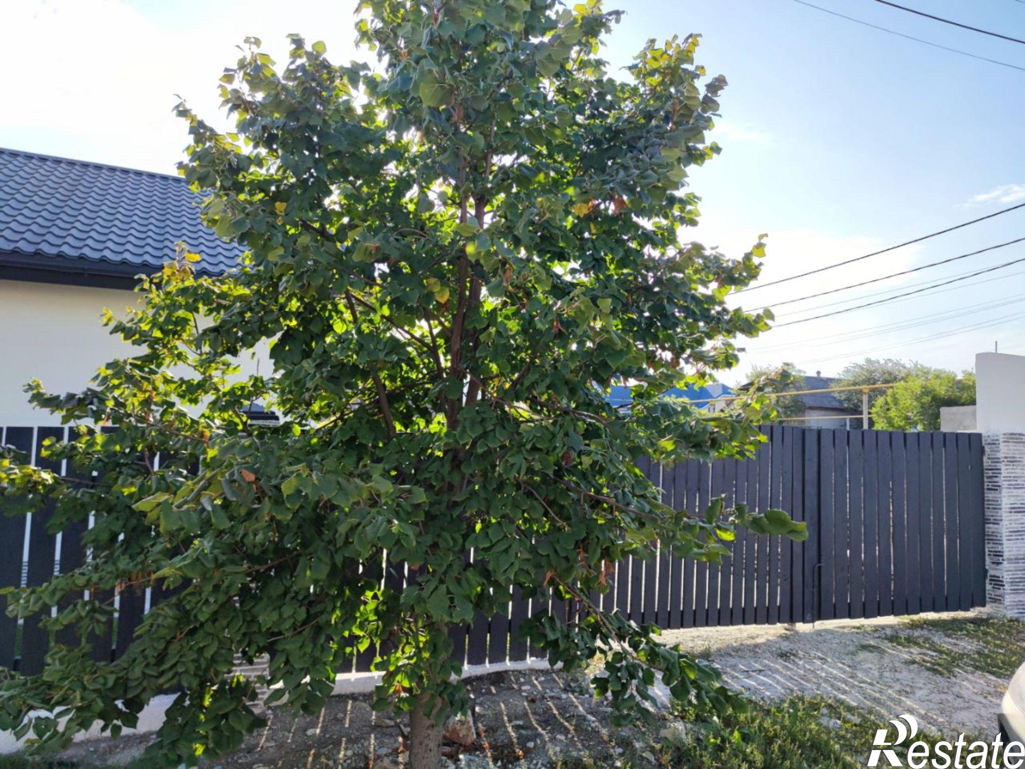 Купить дачу, дом, коттедж за 12 500 000 рублей на Степная улица, 8