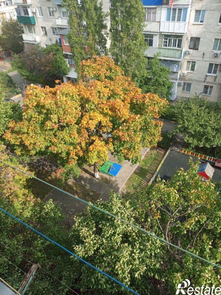 1-комн квартира ул Куникова, 58,  д. 58