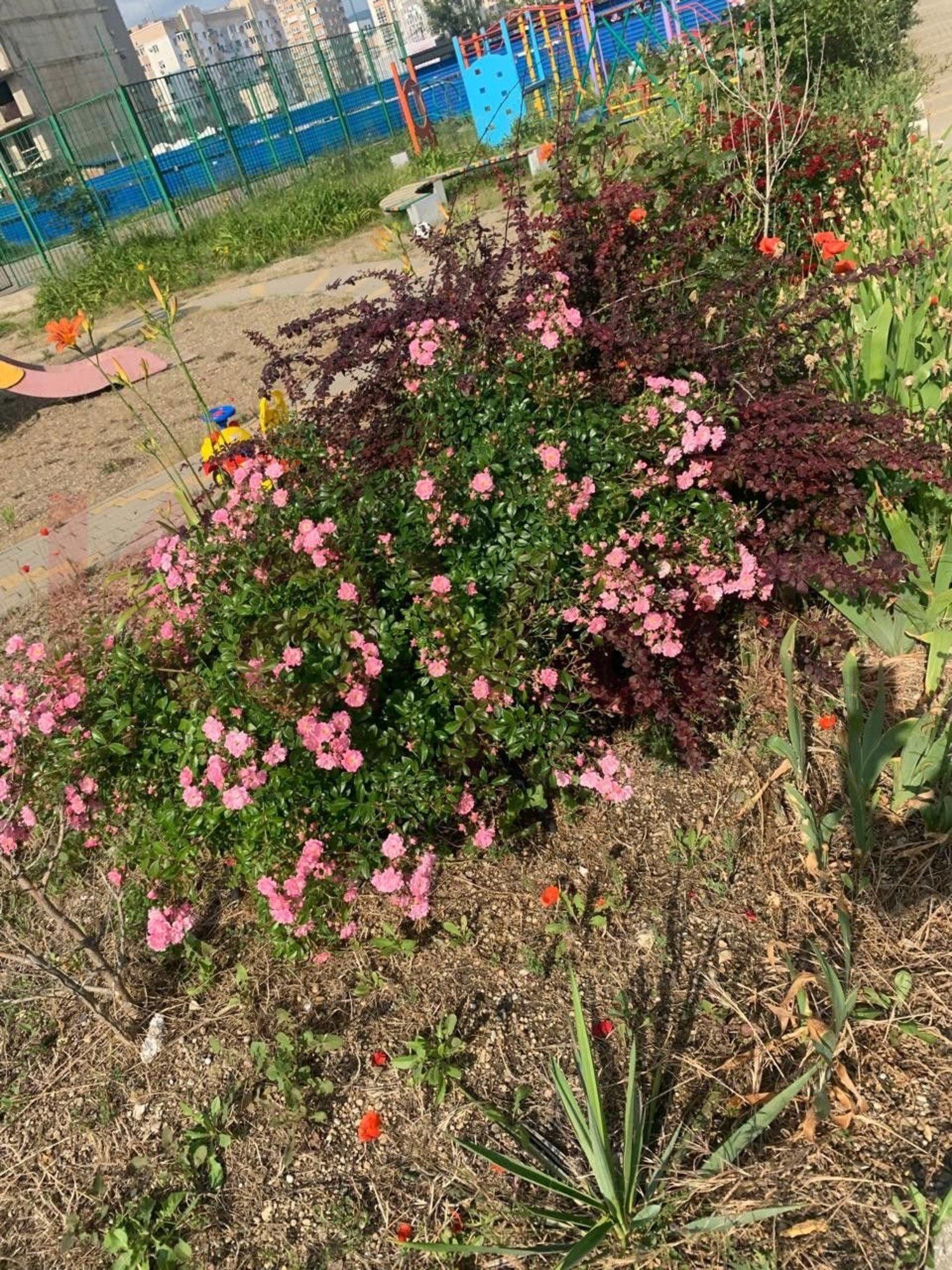 Купить квартиру за 5 200 000 рублей на Мурата Ахеджака ул.