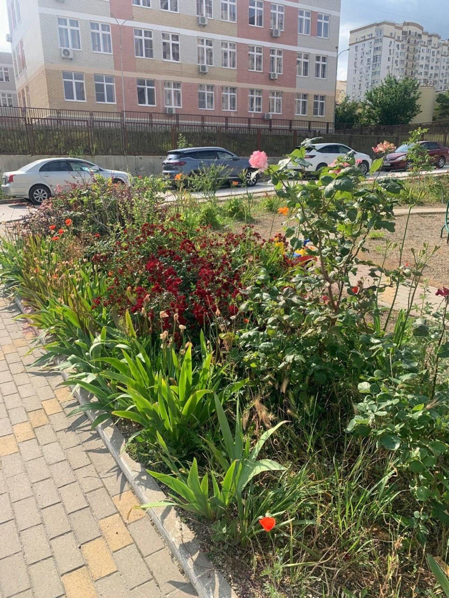 Купить квартиру за 5 200 000 рублей на Мурата Ахеджака ул.