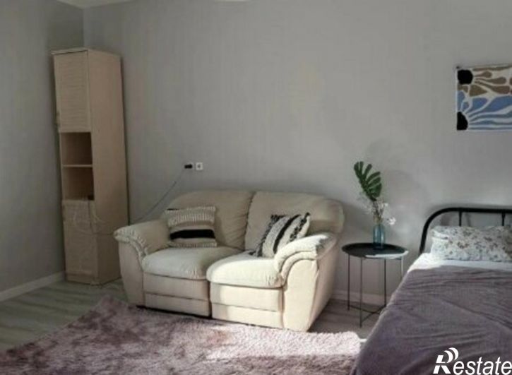 1-комн квартира ул Вруцкого, 31,  д. 31