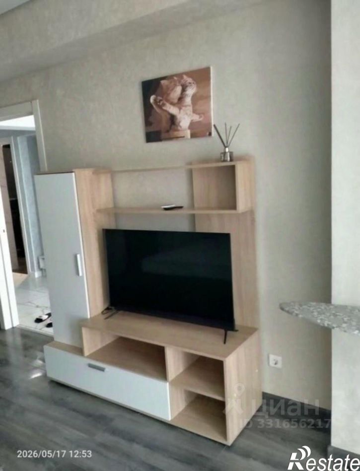 1-комн квартира пр-кт Дзержинского, 244 11,  д. 244 11,  к. 11