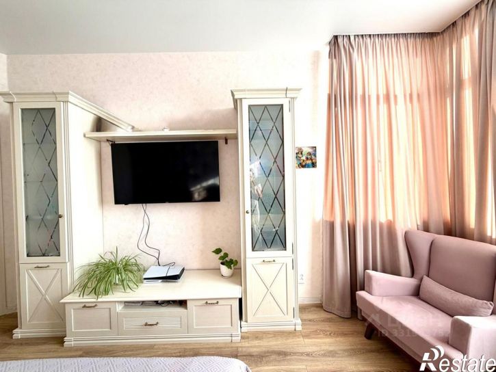 1-комн квартира ул Видова, 100,  д. 100