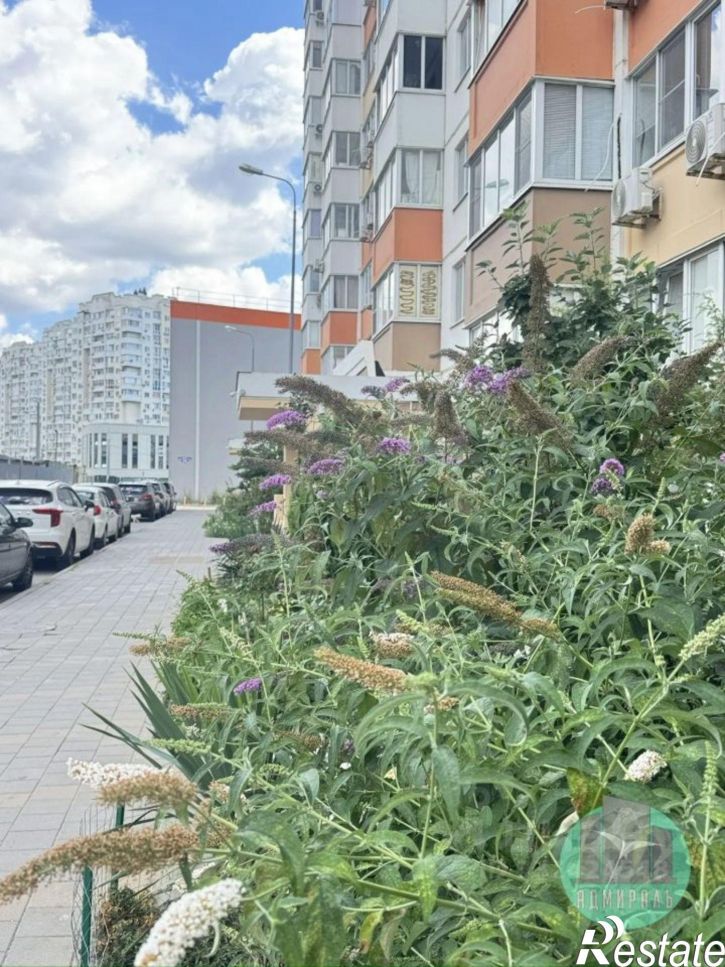 1-комн квартира пр-кт Дзержинского, 240,  д. 240