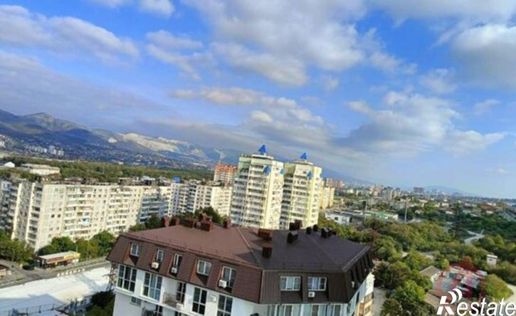 1-комн квартира ул Видова, 214,  д. 214