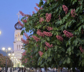 комната 13 кв м улица Леженина, 90