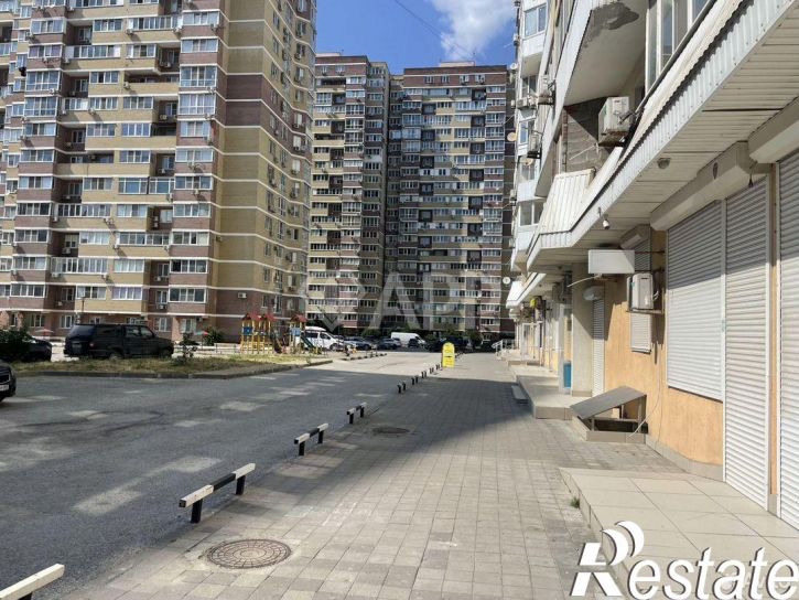 Торговое помещение проспект Дзержинского, 227,  д. 227