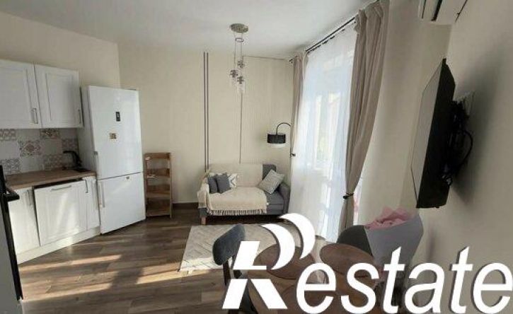 1-комн квартира улица Куникова, 49,  д. 49