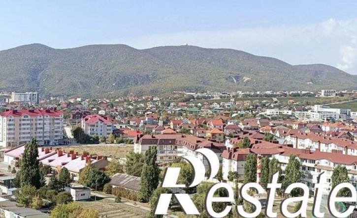 1-комн квартира проспект Дзержинского, 244 к7,  д. 244 к7
