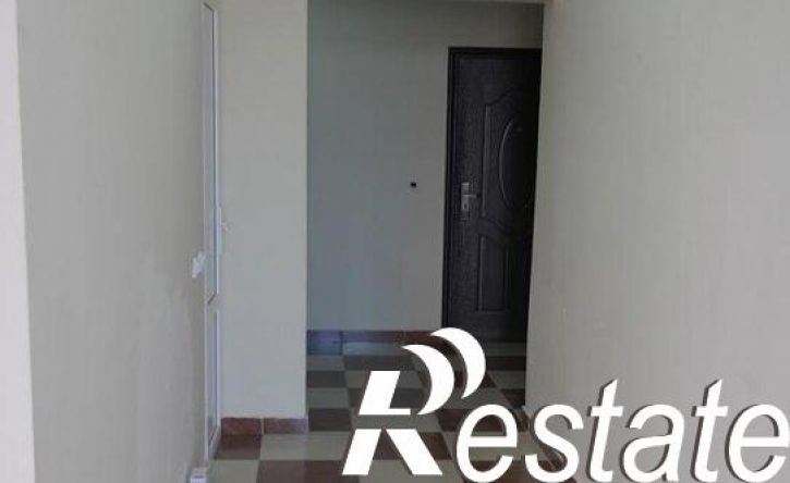 2-комн квартира проспект Дзержинского, 221А,  д. 221А