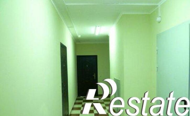 2-комн квартира проспект Дзержинского, 221А,  д. 221А