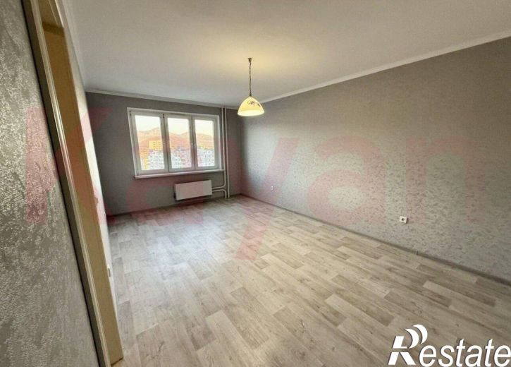 1-комн квартира Видова ул.